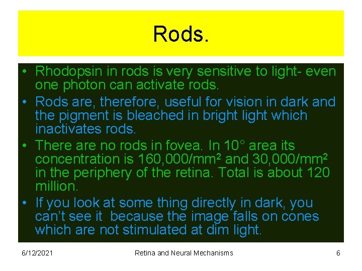 Rods. • Rhodopsin in rods is very sensitive to light- even one photon can