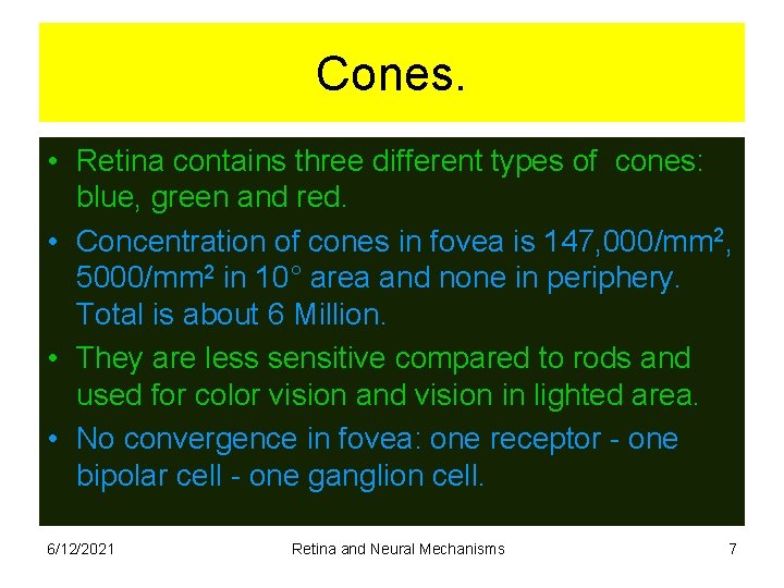 Cones. • Retina contains three different types of cones: blue, green and red. •