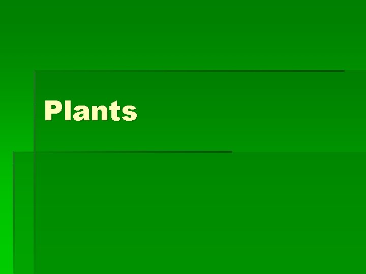 Plants 