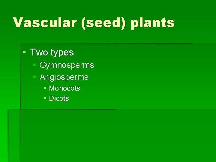 Vascular (seed) plants § Two types § Gymnosperms § Angiosperms § Monocots § Dicots