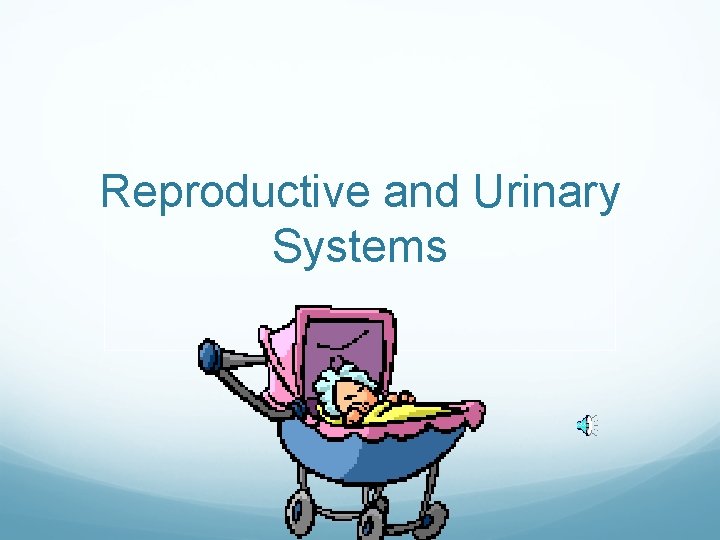Reproductive and Urinary Systems 