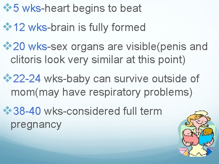 v 5 wks-heart begins to beat v 12 wks-brain is fully formed v 20