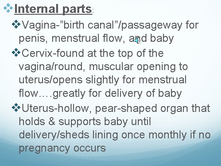 v. Internal parts: v. Vagina-”birth canal”/passageway for penis, menstrual flow, and baby v. Cervix-found