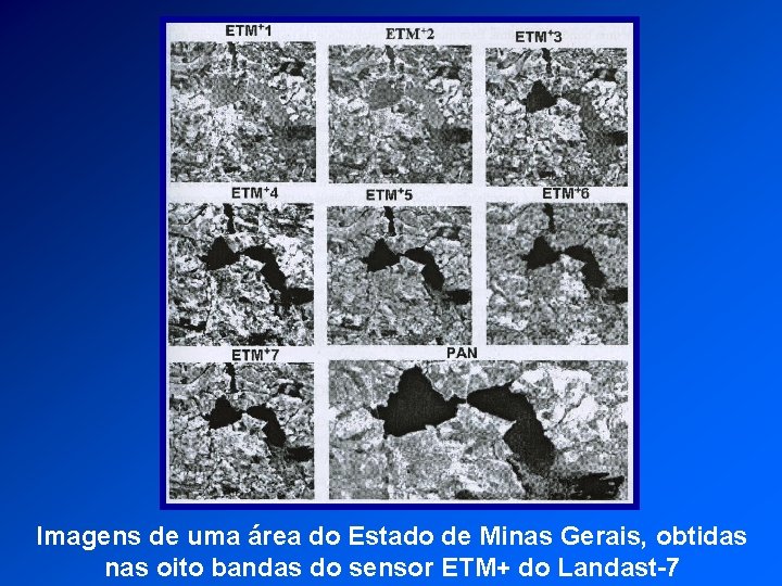 Imagens de uma área do Estado de Minas Gerais, obtidas nas oito bandas do