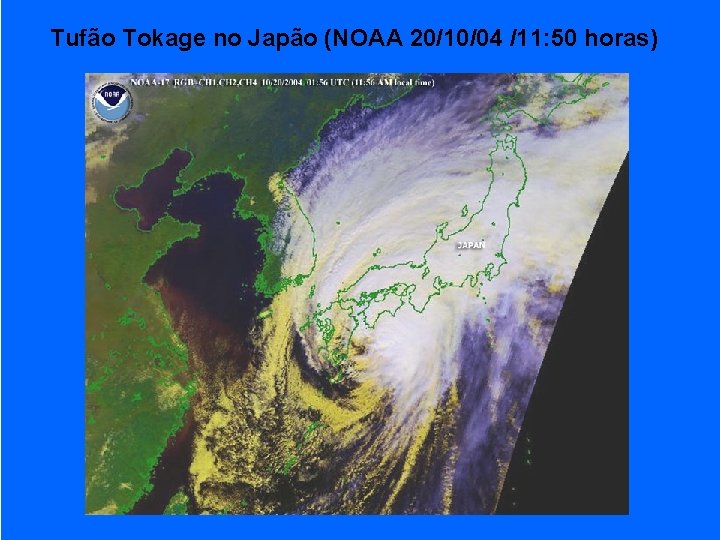 Tufão Tokage no Japão (NOAA 20/10/04 /11: 50 horas) 