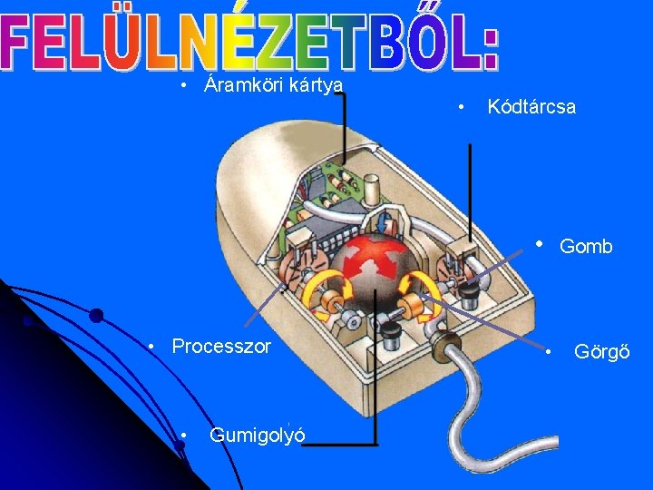  • Áramköri kártya • Kódtárcsa • • Processzor • Gumigolyó Gomb • Görgő