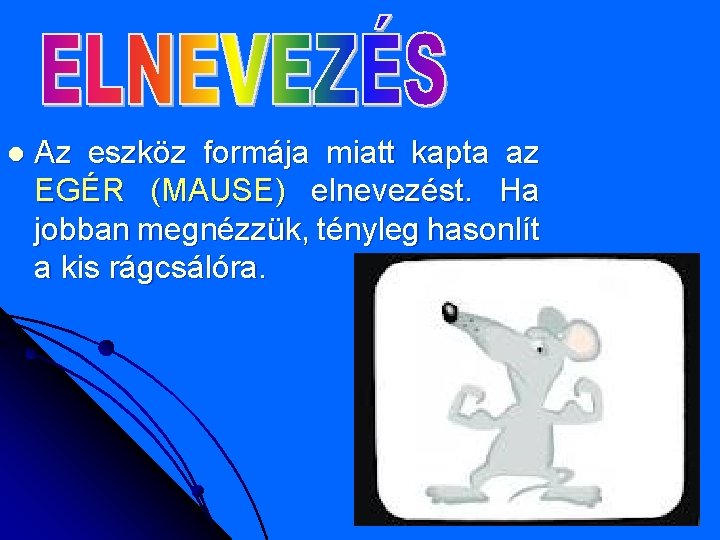 l Az eszköz formája miatt kapta az EGÉR (MAUSE) elnevezést. Ha jobban megnézzük, tényleg l Az eszköz formája miatt kapta az EGÉR (MAUSE) elnevezést. Ha jobban megnézzük, tényleg