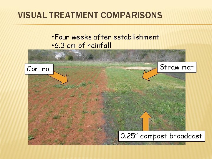 VISUAL TREATMENT COMPARISONS • Four weeks after establishment • 6. 3 cm of rainfall