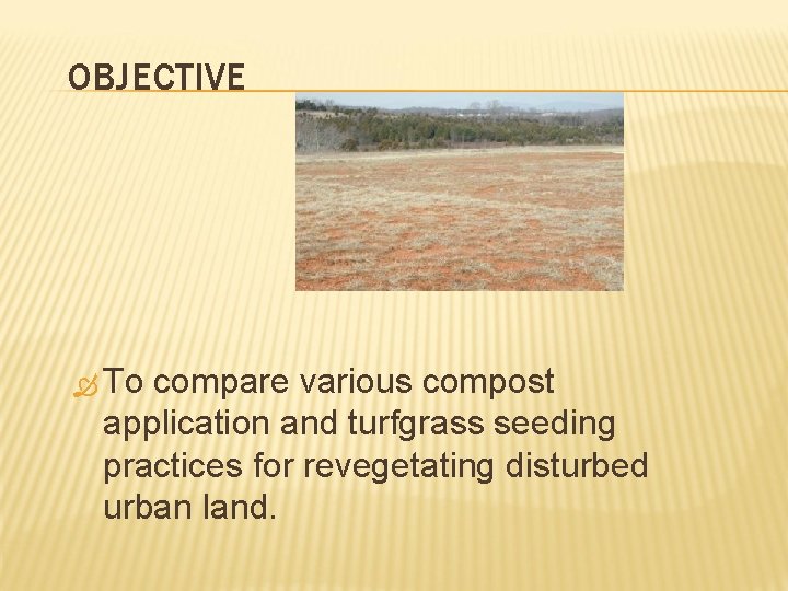 OBJECTIVE To compare various compost application and turfgrass seeding practices for revegetating disturbed urban
