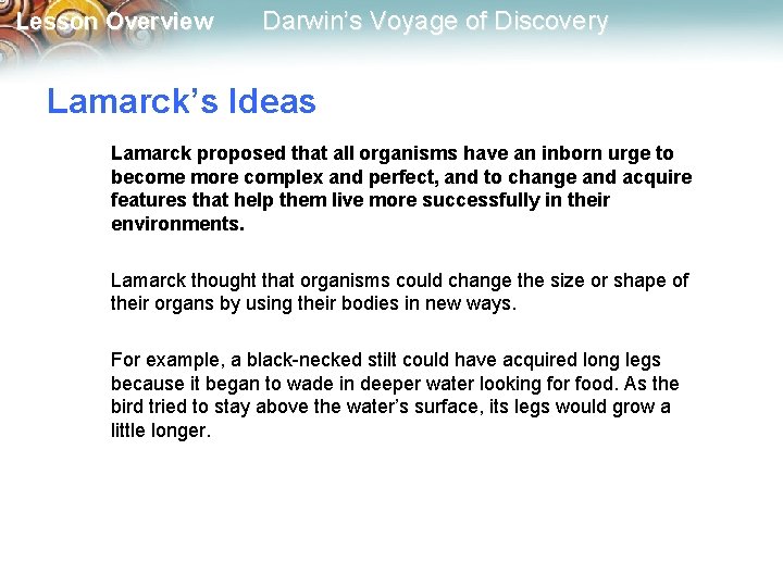 Lesson Overview Darwin’s Voyage of Discovery Lamarck’s Ideas Lamarck proposed that all organisms have