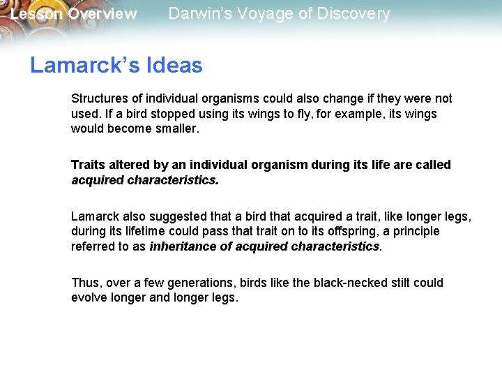 Lesson Overview Darwin’s Voyage of Discovery Lamarck’s Ideas Structures of individual organisms could also