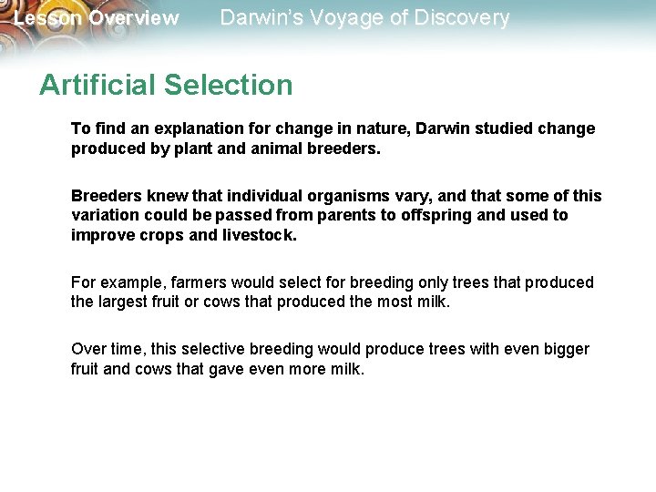 Lesson Overview Darwin’s Voyage of Discovery Artificial Selection To find an explanation for change