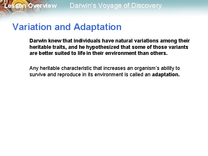 Lesson Overview Darwin’s Voyage of Discovery Variation and Adaptation Darwin knew that individuals have