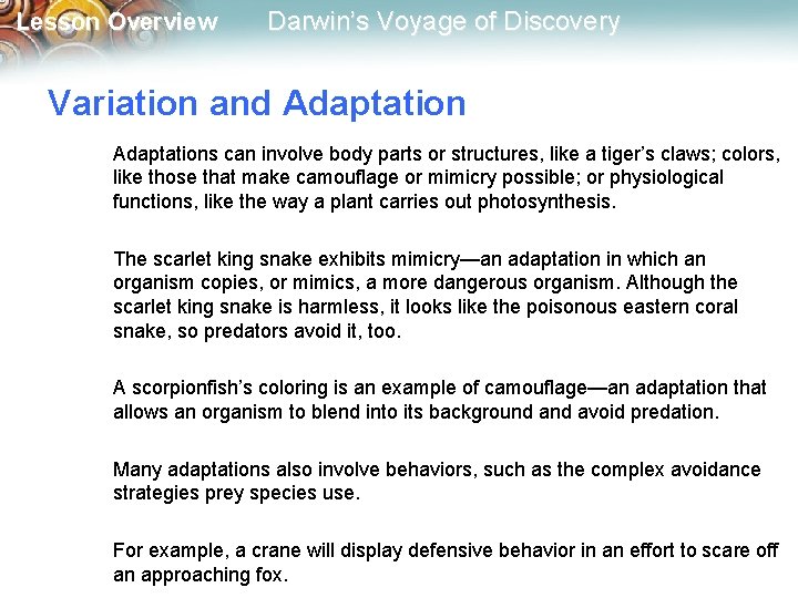 Lesson Overview Darwin’s Voyage of Discovery Variation and Adaptations can involve body parts or
