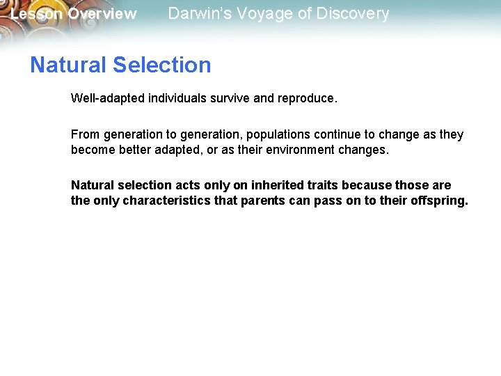 Lesson Overview Darwin’s Voyage of Discovery Natural Selection Well-adapted individuals survive and reproduce. From