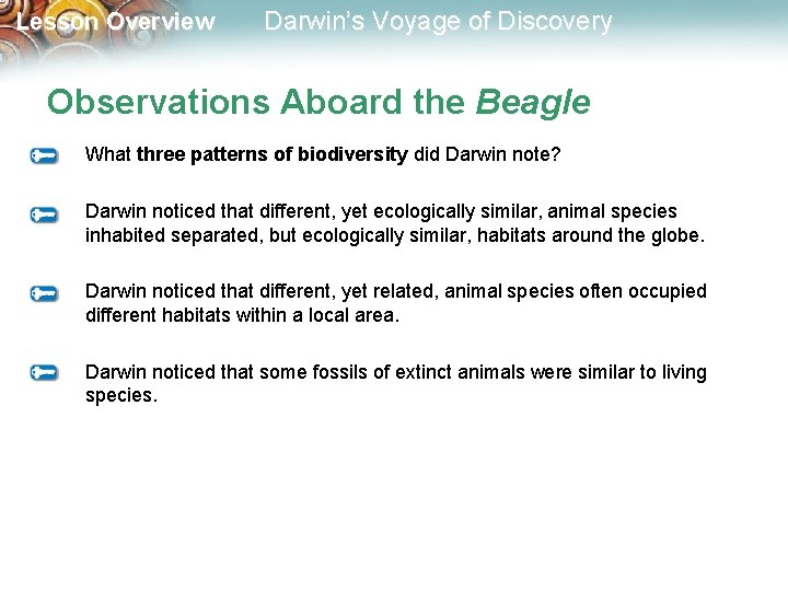 Lesson Overview Darwin’s Voyage of Discovery Observations Aboard the Beagle What three patterns of