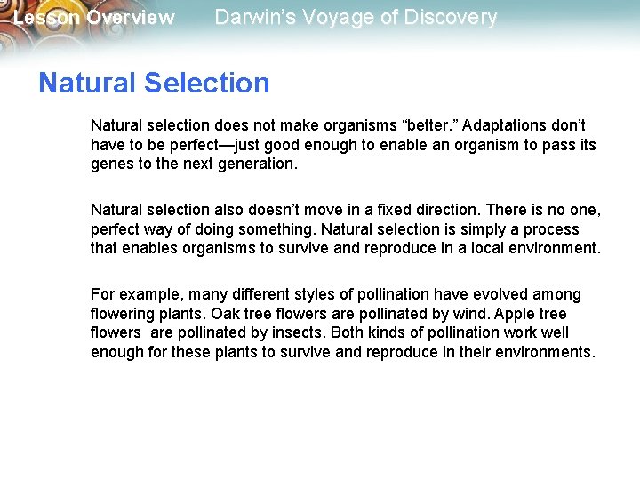 Lesson Overview Darwin’s Voyage of Discovery Natural Selection Natural selection does not make organisms
