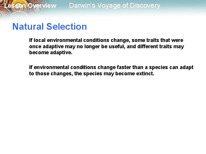 Lesson Overview Darwin’s Voyage of Discovery Natural Selection If local environmental conditions change, some