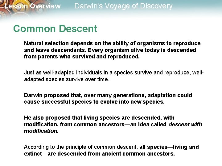 Lesson Overview Darwin’s Voyage of Discovery Common Descent Natural selection depends on the ability