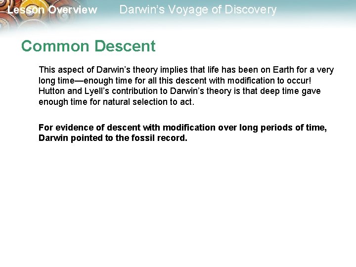 Lesson Overview Darwin’s Voyage of Discovery Common Descent This aspect of Darwin’s theory implies