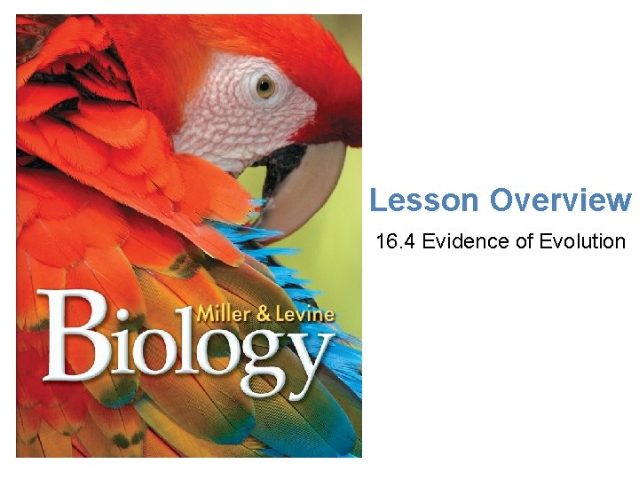 Lesson Overview Darwin’s Voyage of Discovery Lesson Overview 16. 4 Evidence of Evolution 