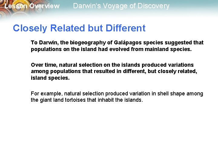 Lesson Overview Darwin’s Voyage of Discovery Closely Related but Different To Darwin, the biogeography