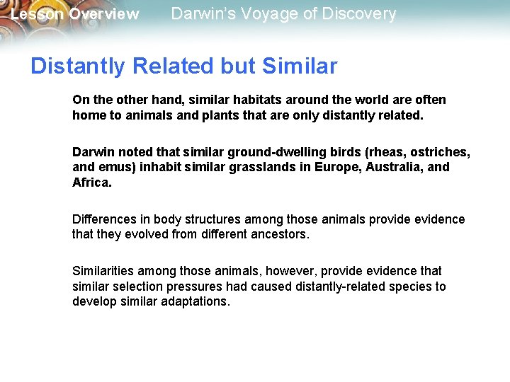 Lesson Overview Darwin’s Voyage of Discovery Distantly Related but Similar On the other hand,