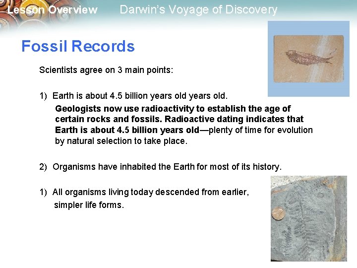 Lesson Overview Darwin’s Voyage of Discovery Fossil Records Scientists agree on 3 main points: