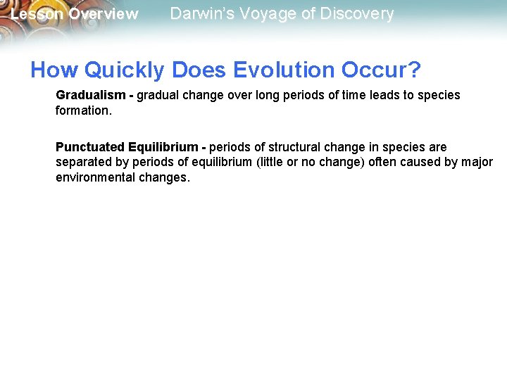 Lesson Overview Darwin’s Voyage of Discovery How Quickly Does Evolution Occur? Gradualism - gradual