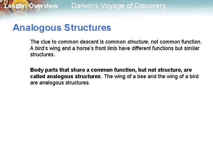 Lesson Overview Darwin’s Voyage of Discovery Analogous Structures The clue to common descent is