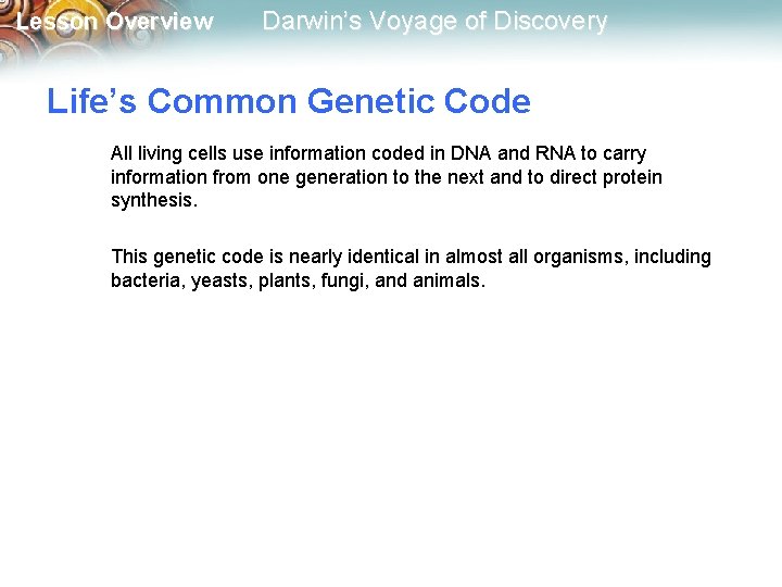 Lesson Overview Darwin’s Voyage of Discovery Life’s Common Genetic Code All living cells use