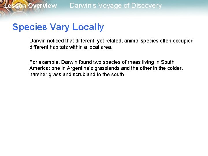 Lesson Overview Darwin’s Voyage of Discovery Species Vary Locally Darwin noticed that different, yet