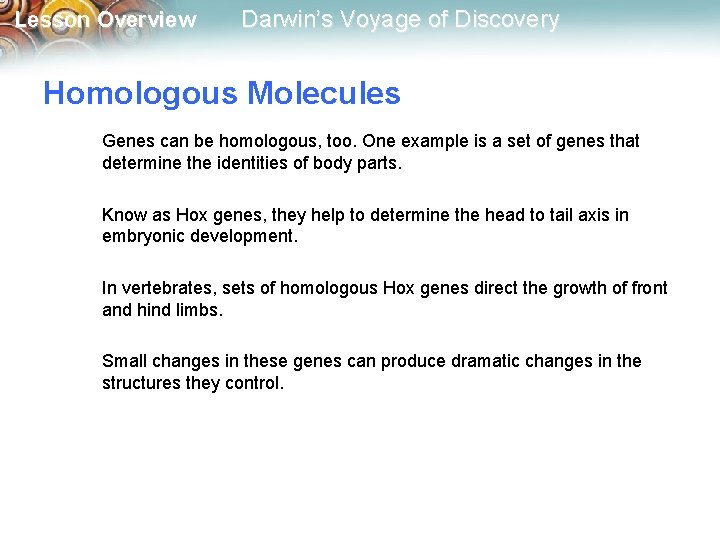 Lesson Overview Darwin’s Voyage of Discovery Homologous Molecules Genes can be homologous, too. One