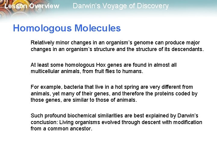 Lesson Overview Darwin’s Voyage of Discovery Homologous Molecules Relatively minor changes in an organism’s
