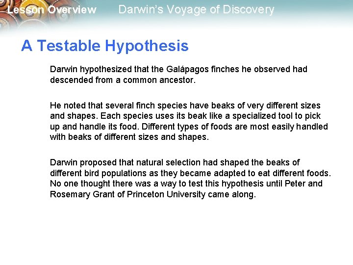 Lesson Overview Darwin’s Voyage of Discovery A Testable Hypothesis Darwin hypothesized that the Galápagos