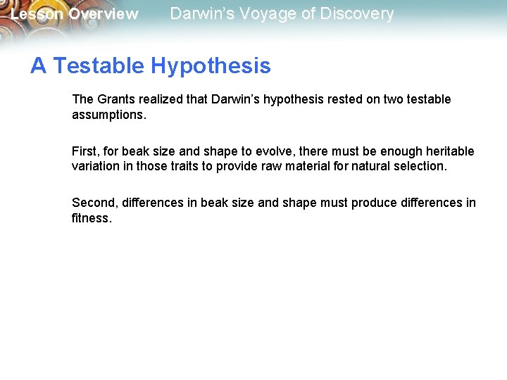 Lesson Overview Darwin’s Voyage of Discovery A Testable Hypothesis The Grants realized that Darwin’s