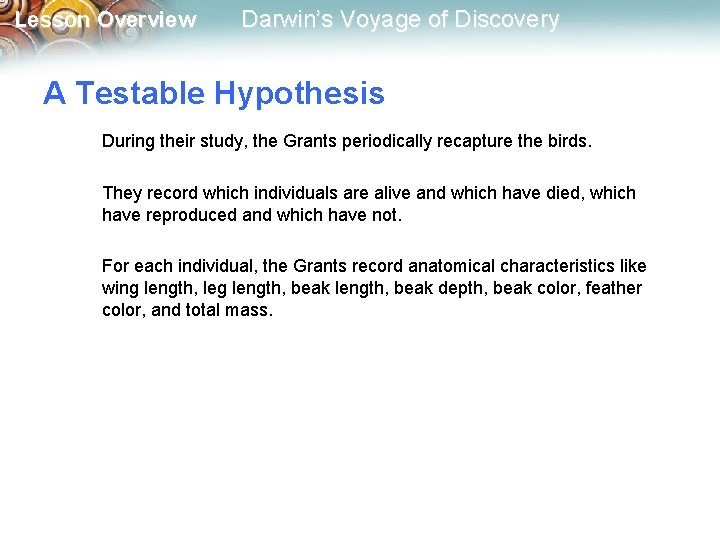 Lesson Overview Darwin’s Voyage of Discovery A Testable Hypothesis During their study, the Grants