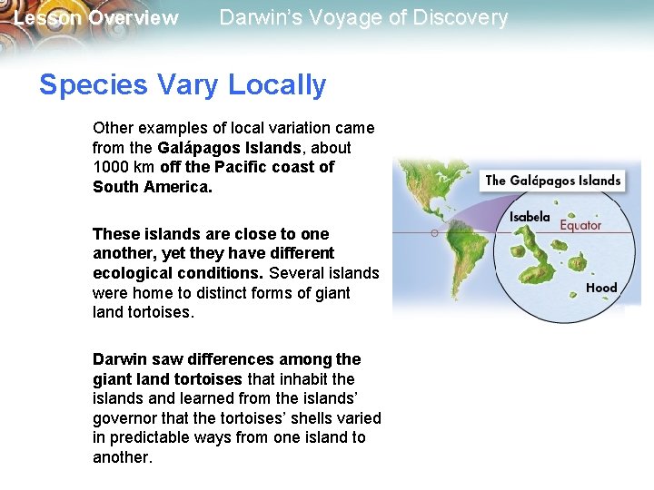 Lesson Overview Darwin’s Voyage of Discovery Species Vary Locally Other examples of local variation