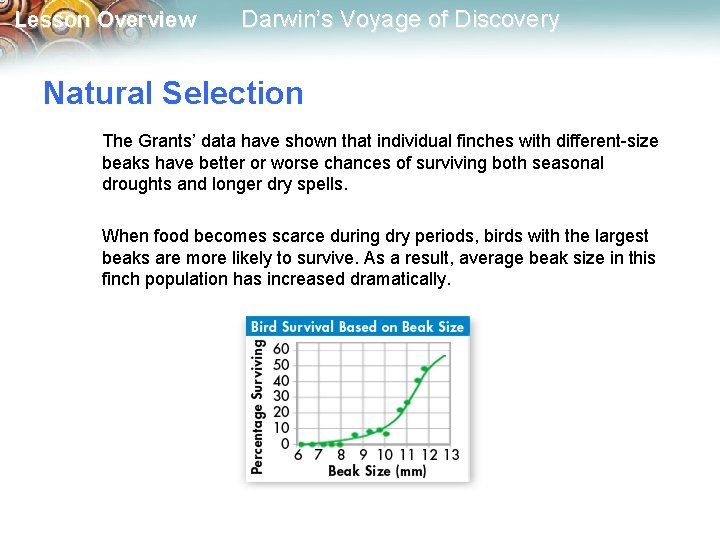 Lesson Overview Darwin’s Voyage of Discovery Natural Selection The Grants’ data have shown that