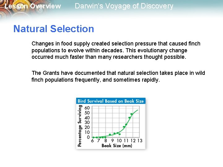 Lesson Overview Darwin’s Voyage of Discovery Natural Selection Changes in food supply created selection