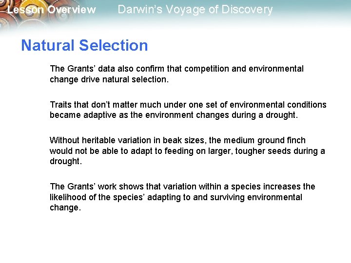 Lesson Overview Darwin’s Voyage of Discovery Natural Selection The Grants’ data also confirm that