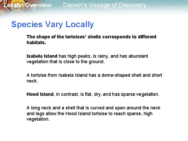 Lesson Overview Darwin’s Voyage of Discovery Species Vary Locally The shape of the tortoises’