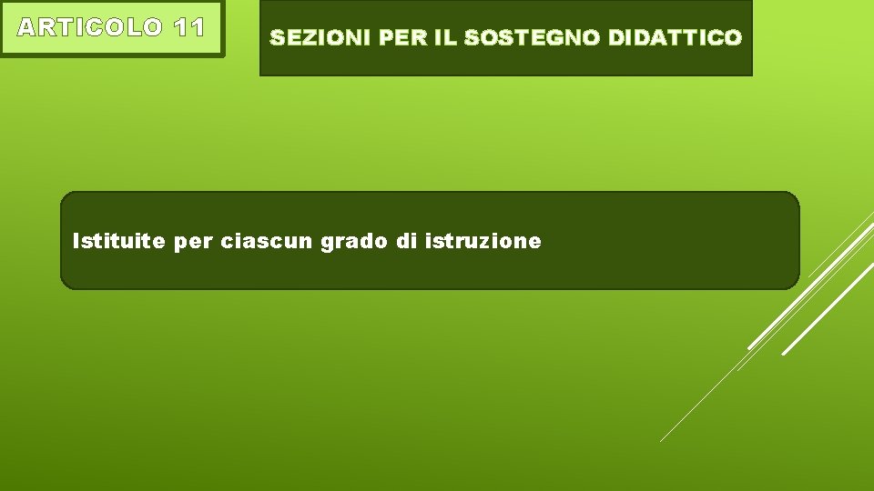 ARTICOLO 11 SEZIONI PER IL SOSTEGNO DIDATTICO Istituite per ciascun grado di istruzione 