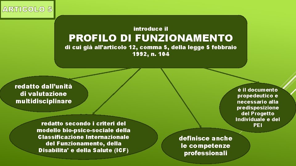 ARTICOLO 5 introduce il PROFILO DI FUNZIONAMENTO di cui già all'articolo 12, comma 5,