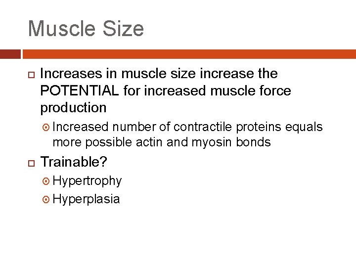 Muscle Size Increases in muscle size increase the POTENTIAL for increased muscle force production