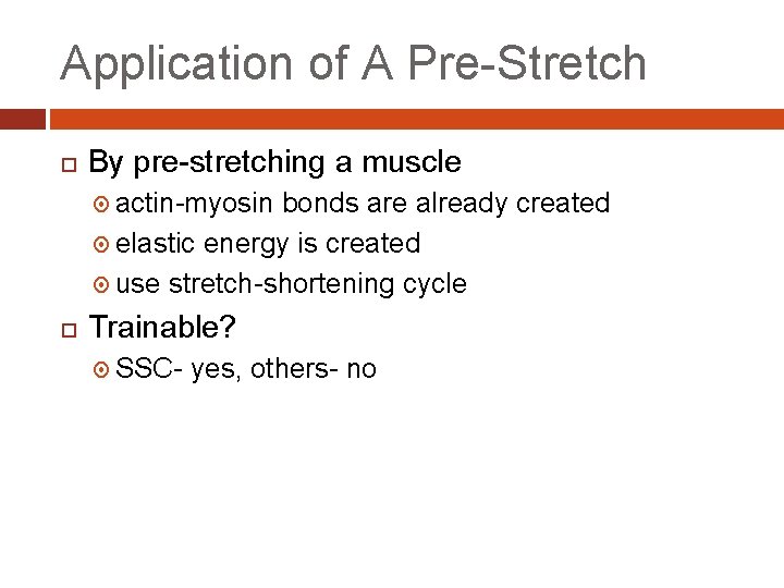 Application of A Pre-Stretch By pre-stretching a muscle actin-myosin bonds are already created elastic