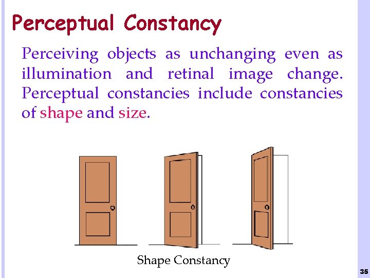 Perceptual Constancy Perceiving objects as unchanging even as illumination and retinal image change. Perceptual
