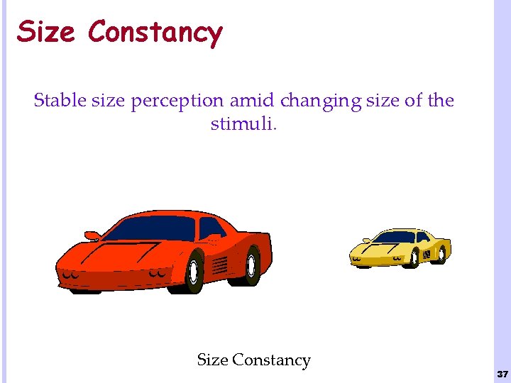 Size Constancy Stable size perception amid changing size of the stimuli. Size Constancy 37