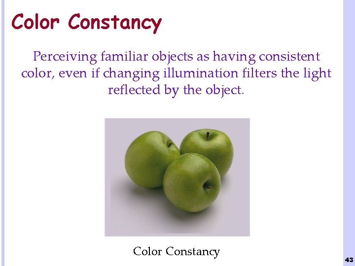 Color Constancy Perceiving familiar objects as having consistent color, even if changing illumination filters