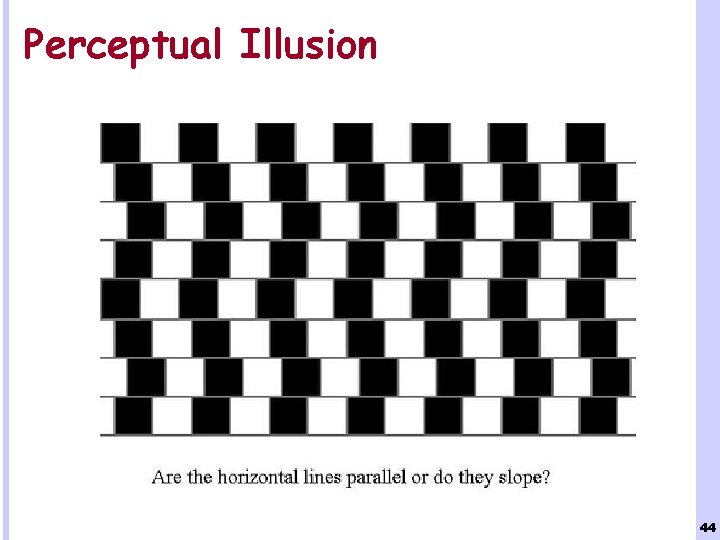 Perceptual Illusion 44 
